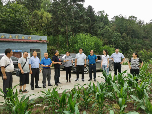 调研组实地了解村道建设情况。压缩.jpg