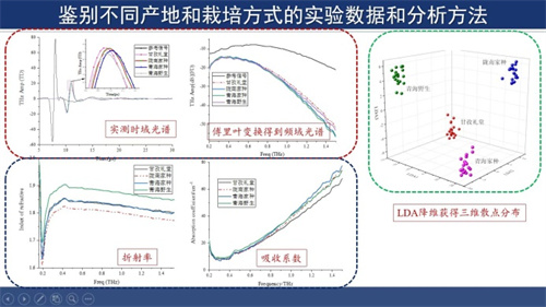 2022.6.7  尚丽平一行开展中药发展和质量控制技术交流3.jpg