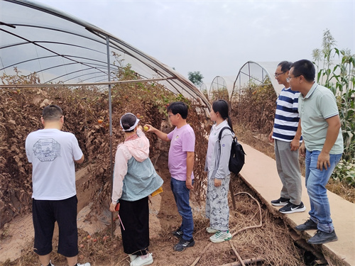 九三学社绵阳市委农业农村委、农业支社助力南充市高坪区农业产业园蔬菜种植基地洪灾应急处理1.jpg