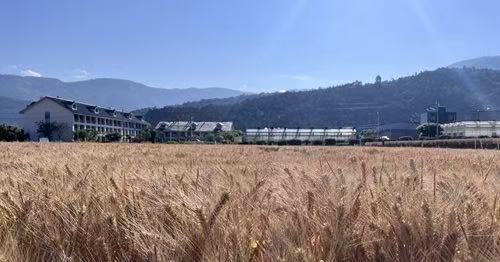 f1d646f647bf1d963fff92b0a78c2339.jpg f1d646f647bf1d963fff92b0a78c2339.jpg