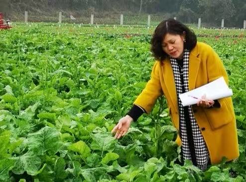 f514cb2b7da7d5da033c6430bd6f5012.jpg f514cb2b7da7d5da033c6430bd6f5012.jpg