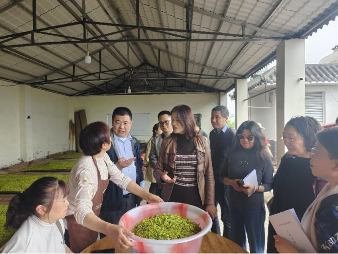 15e1562a-5bd8-4ff5-afc1-8714ef73c534.png 15e1562a-5bd8-4ff5-afc1-8714ef73c534.png