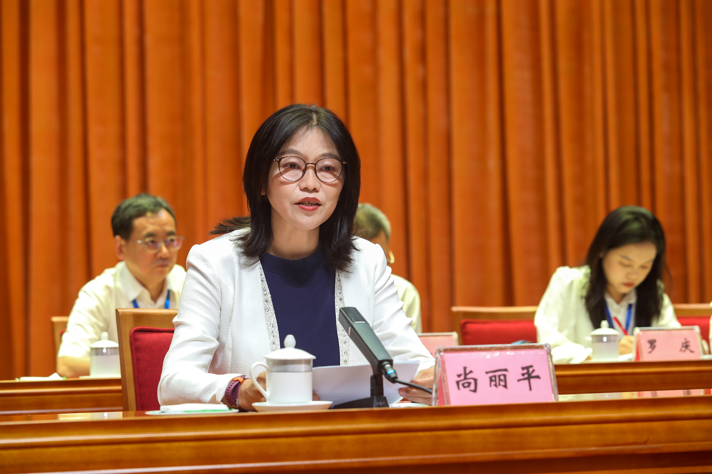 第十次代表大会尚主委讲话.jpg