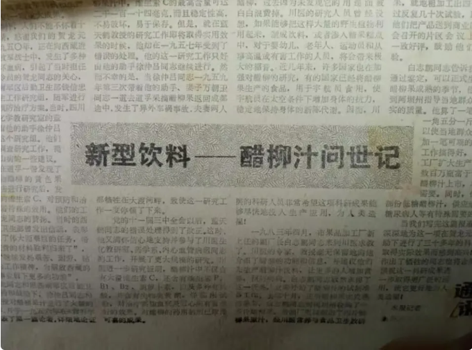 1980年代四川报刊发表文章《新型饮料——醋柳汁问世记》报道蓝天鹤发现和研究野生植物醋柳妙用的经过.png