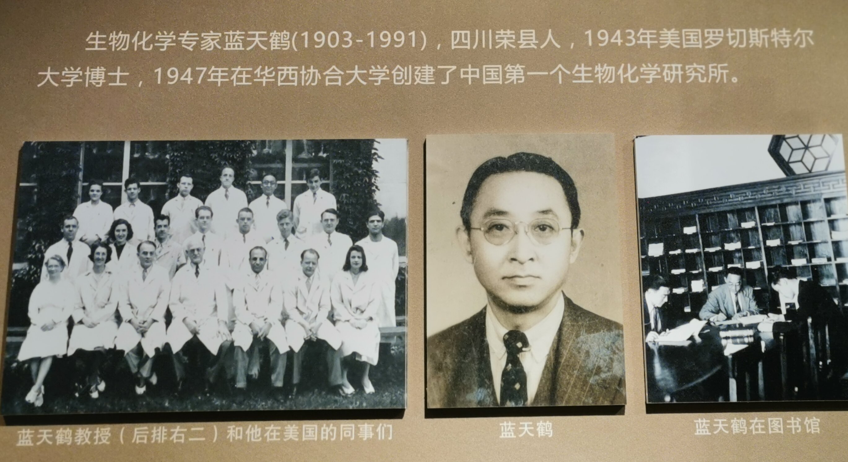 校史馆对蓝天鹤的介绍202210覃建军拍.jpg